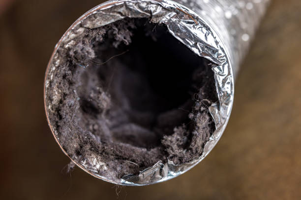 Best Best Air Duct Cleaning Company  in Eastern Goleta Valley, CA